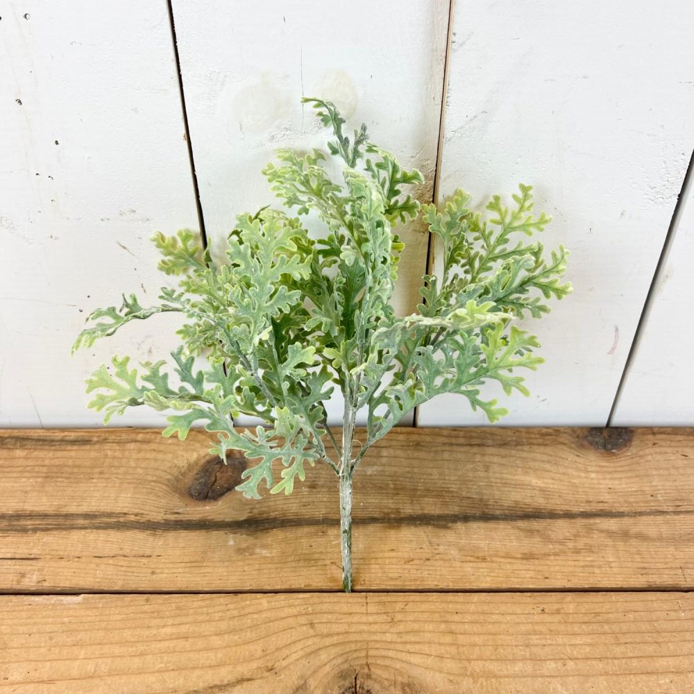 Floral Stems | Dusty Miller Stem Floral Stems Floral Stems