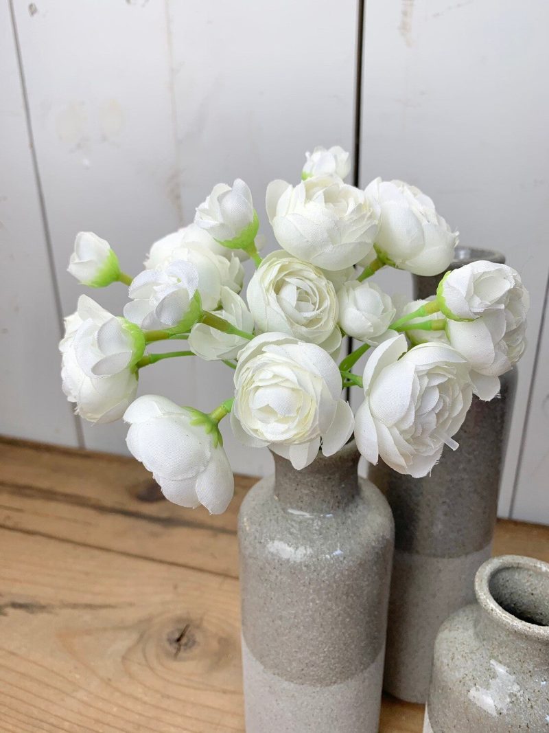 Floral Stems | Ranunculus Stems Floral Stems Floral Stems