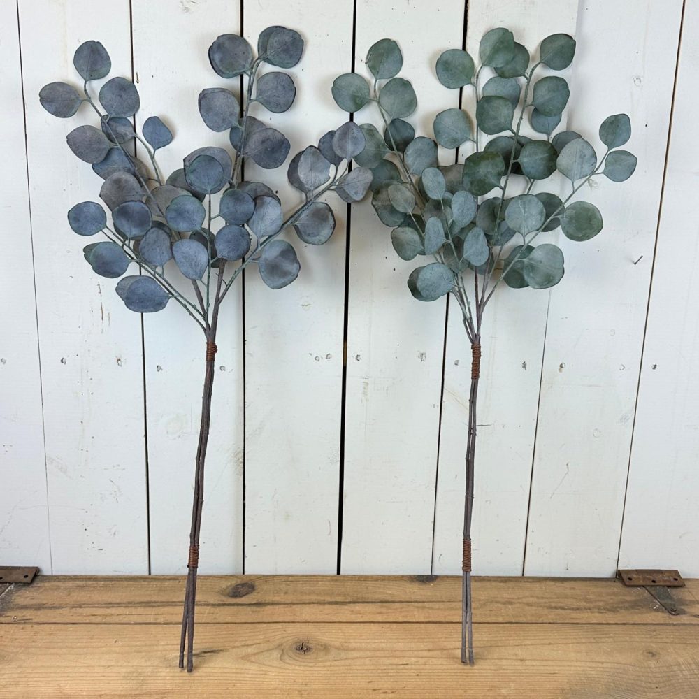 Floral Stems | Silver Dollar Eucalyptus Bundles Floral Stems Floral Stems