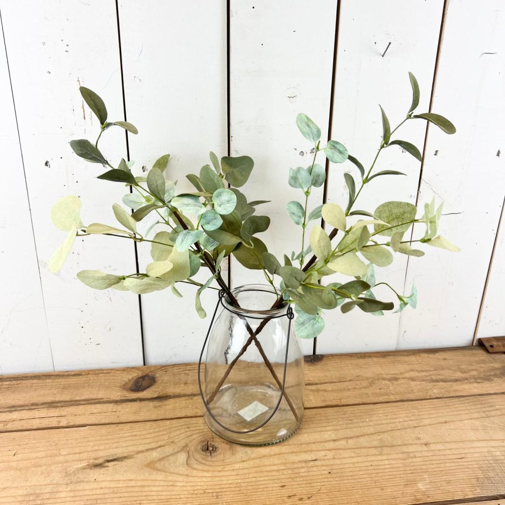 Floral Stems | Silver Dollar Eucalyptus Stem Floral Stems Floral Stems