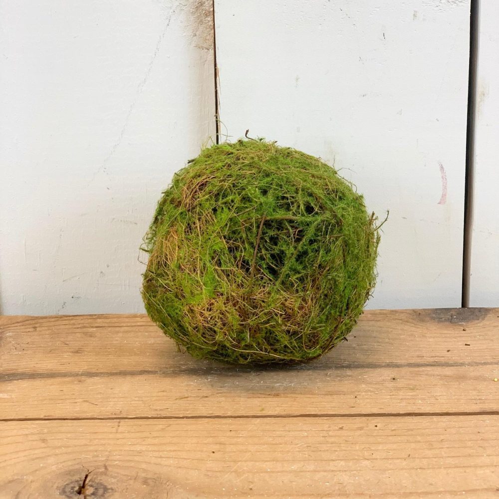 Greenery | 4" Moss Ball Florals & Greenery Greenery