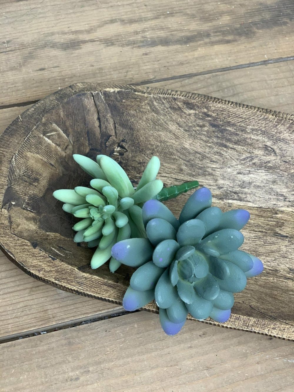 Greenery | Blue Echeveria Succulent Stems Florals & Greenery Greenery