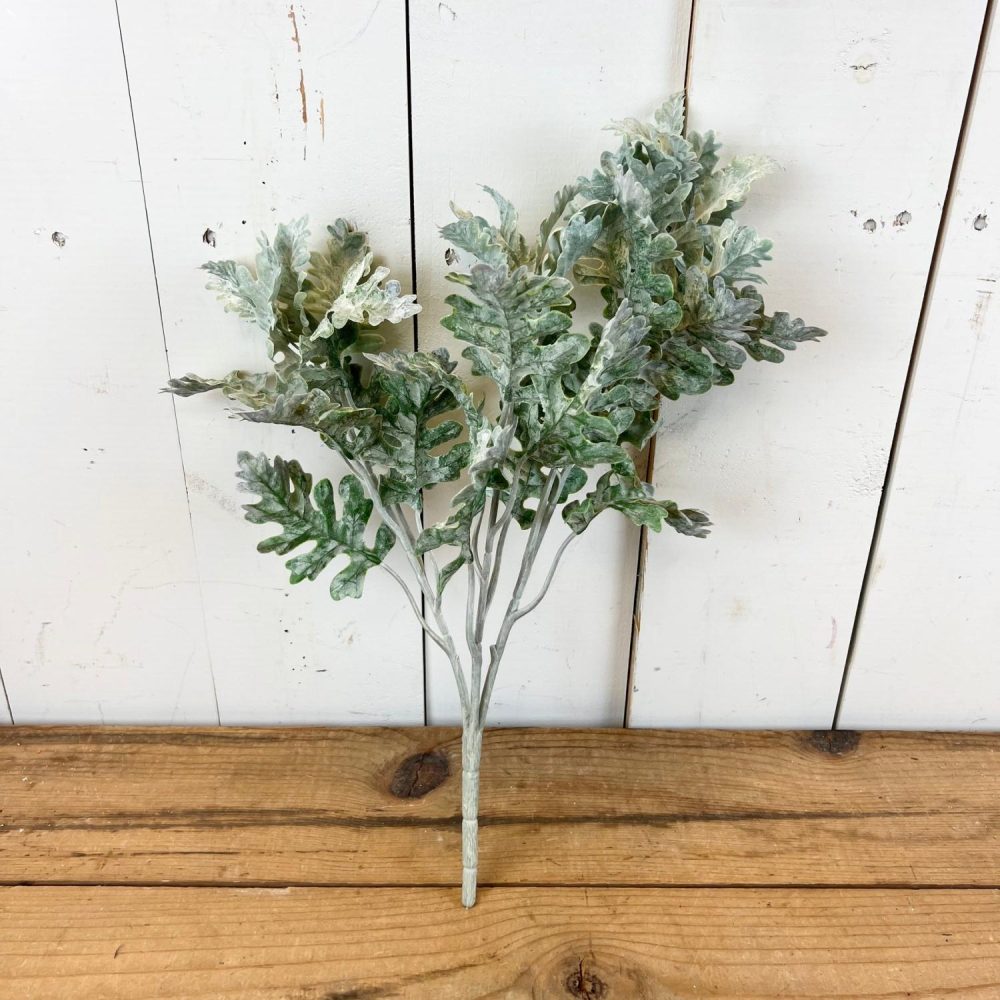 Greenery | Dusty Miller Bush Florals & Greenery Greenery