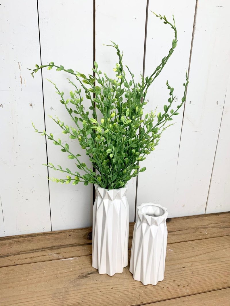 Greenery | English Boxwood Bush Florals & Greenery Greenery