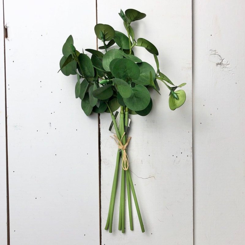 Greenery | Eucalyptus Bundle – Four Colors Florals & Greenery Greenery