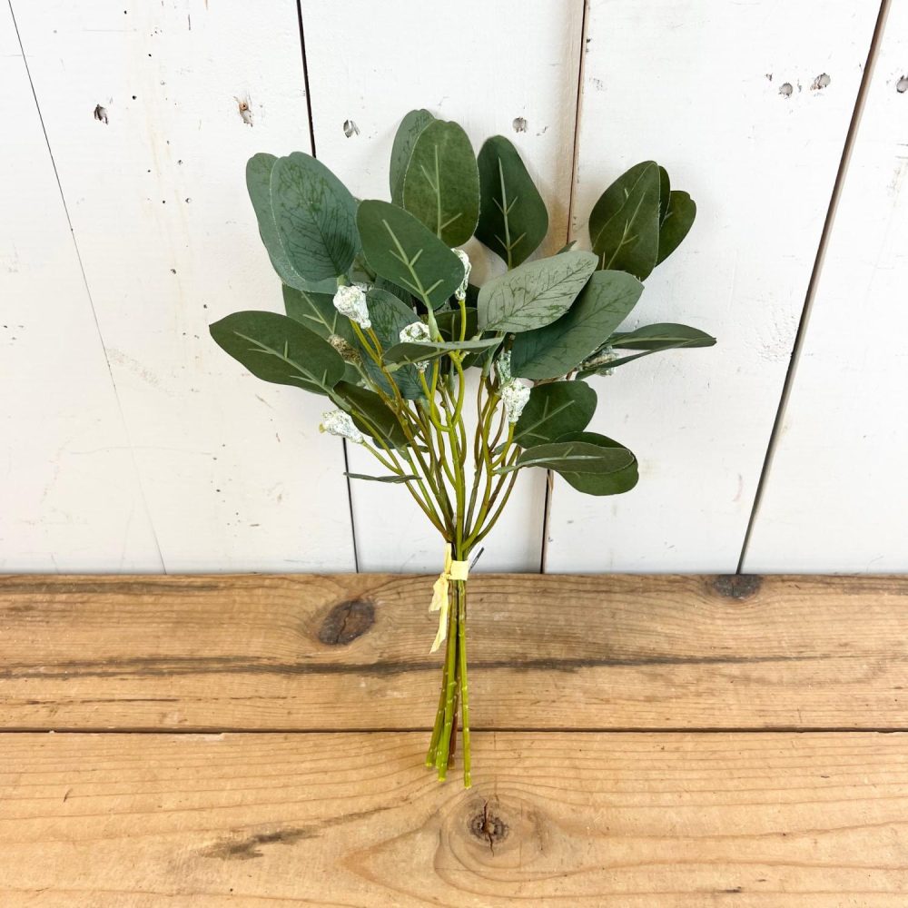 Greenery | Eucalyptus Leafy Bundle Florals & Greenery Greenery