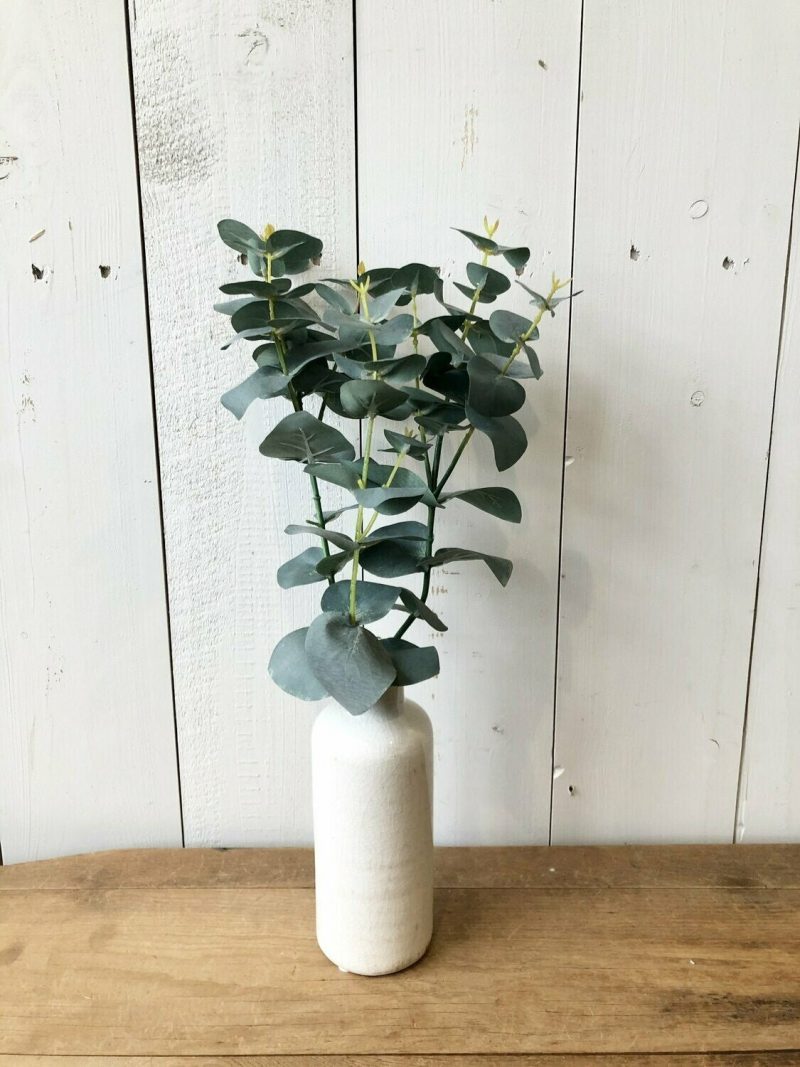 Greenery | Eucalyptus Spray Florals & Greenery Greenery