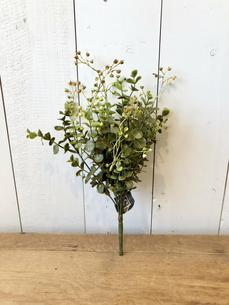 Greenery | Eucalyptus Stem Florals & Greenery Greenery