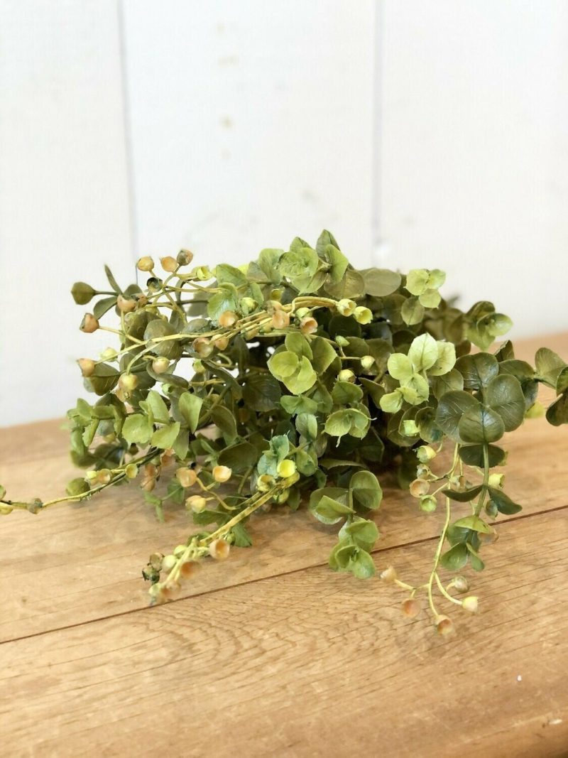 Greenery | Eucalyptus Stem Florals & Greenery Greenery