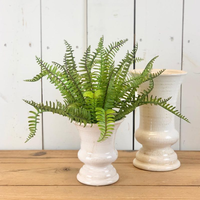 Greenery | Feather Fern Bush Florals & Greenery Greenery