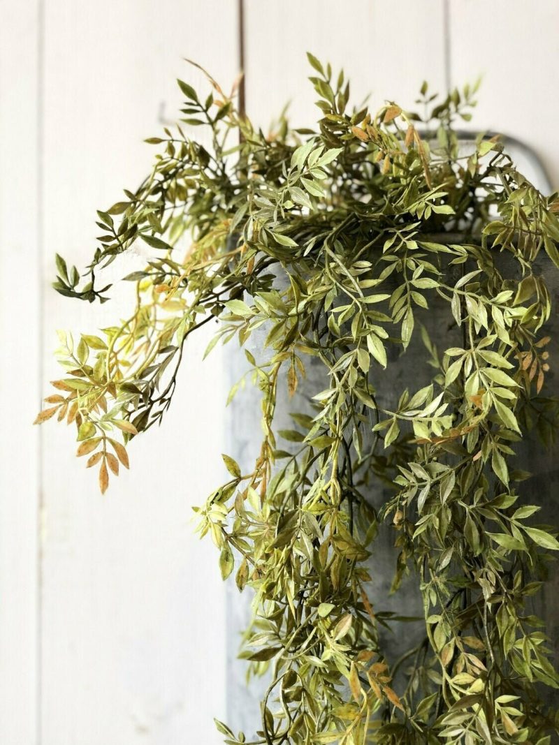 Greenery | Green and Yellow Wisteria Collection Florals & Greenery Greenery