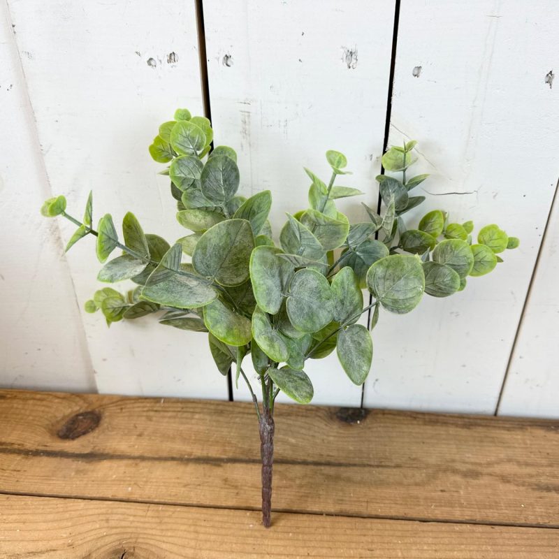 Greenery | Green Eucalyptus Stem Floral Stems Floral Stems