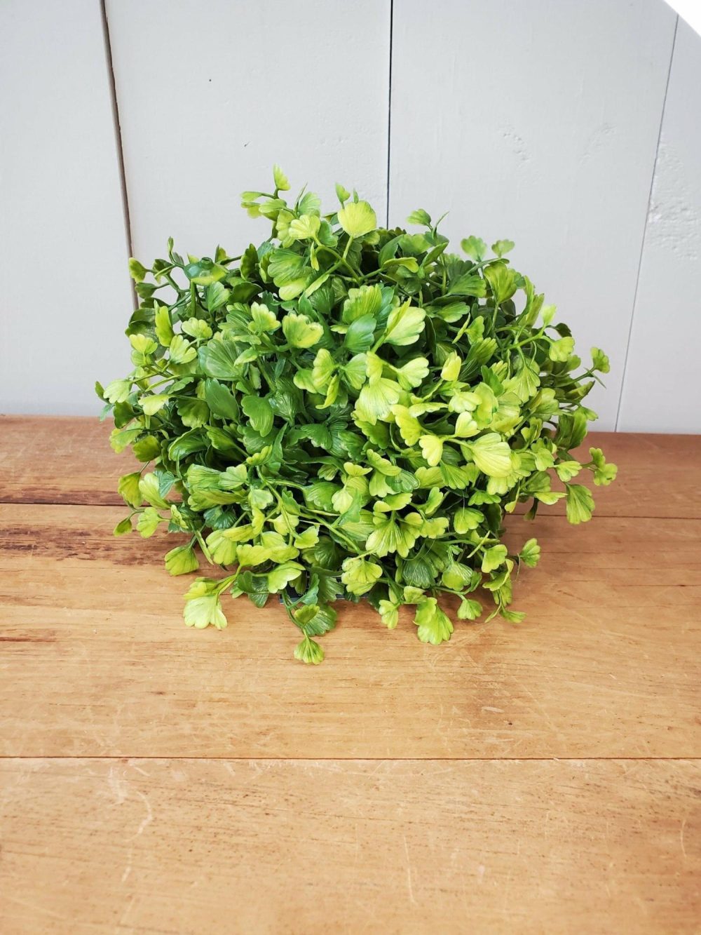 Greenery | Half Orb – Maidenhair Florals & Greenery Greenery