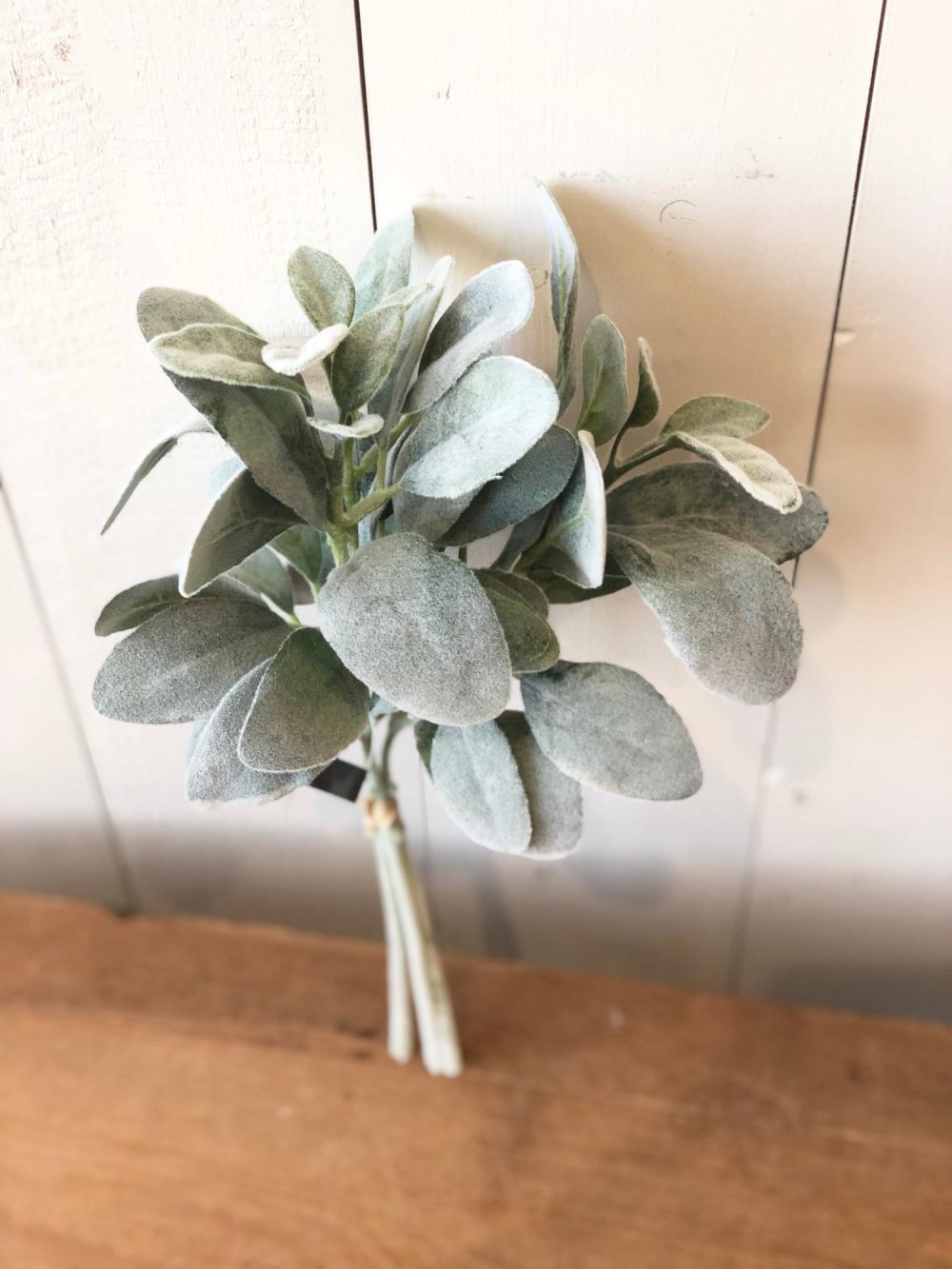 Greenery | Lambs Ear Bundle Florals & Greenery Greenery