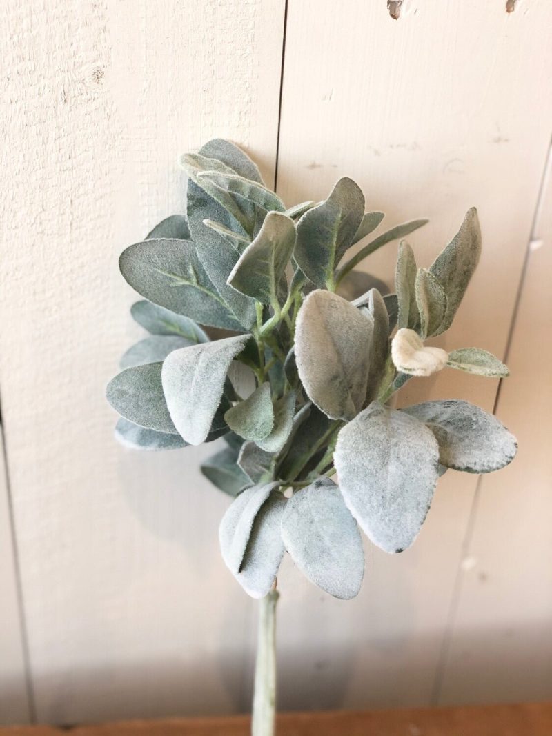 Greenery | Lambs Ear Bundle Florals & Greenery Greenery