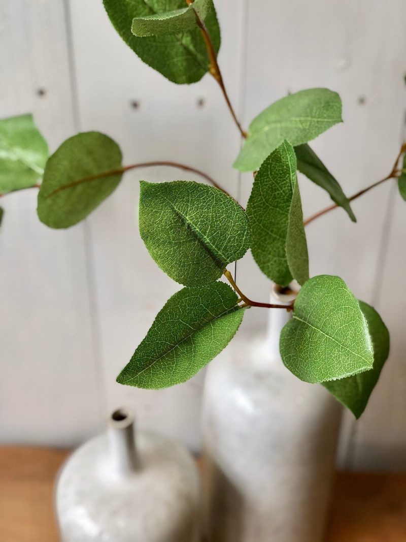 Greenery | Leaf Stem Florals & Greenery Greenery