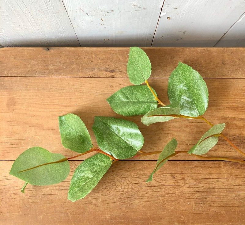 Greenery | Leaf Stem Florals & Greenery Greenery