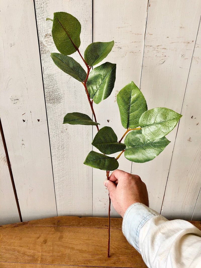 Greenery | Leaf Stem Florals & Greenery Greenery