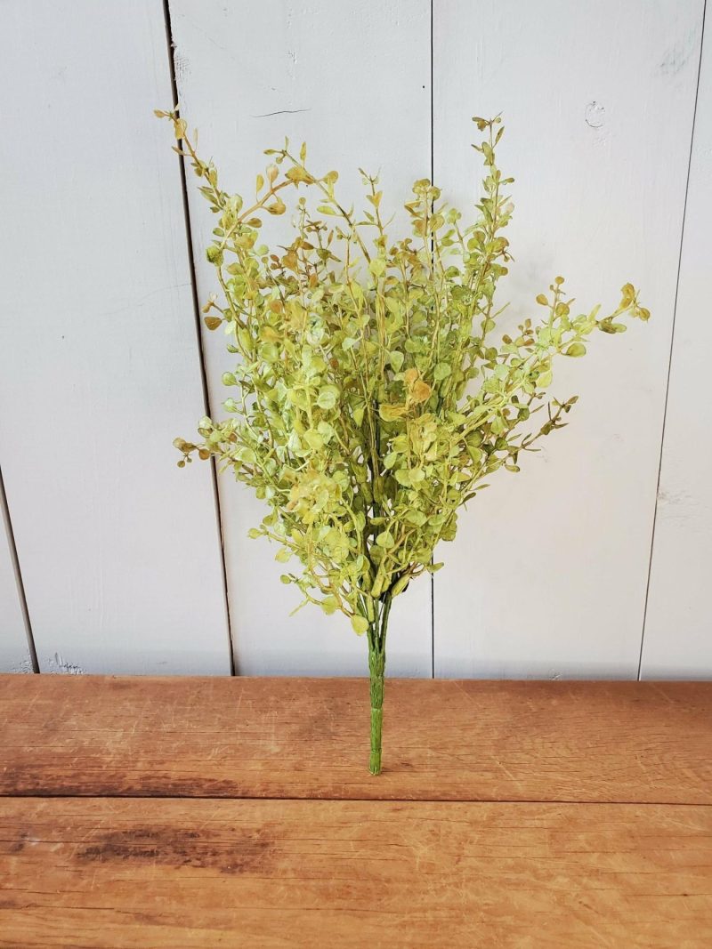 Greenery | Light Baby Grass Stem Florals & Greenery Greenery