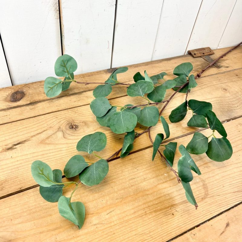 Greenery | Long Eucalyptus Stem Florals & Greenery Greenery