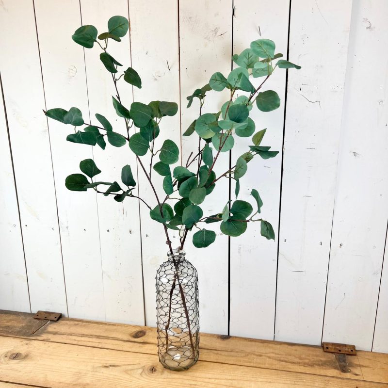 Greenery | Long Eucalyptus Stem Florals & Greenery Greenery