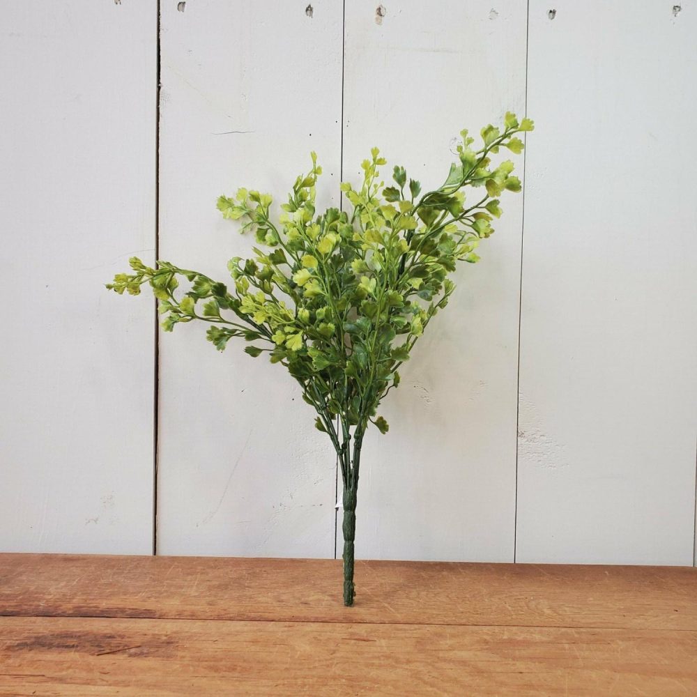 Greenery | Maidenhair Stem Florals & Greenery Greenery