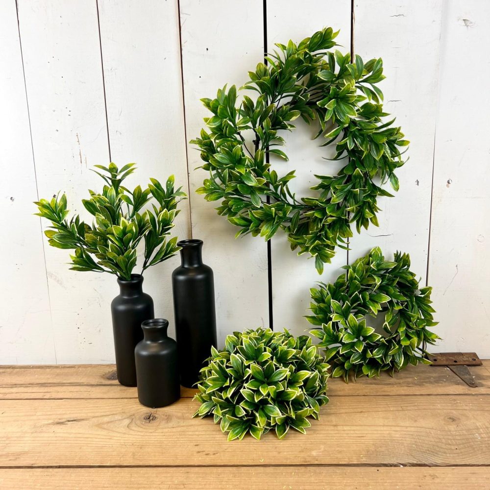 Greenery | Privet Collection Florals & Greenery Greenery