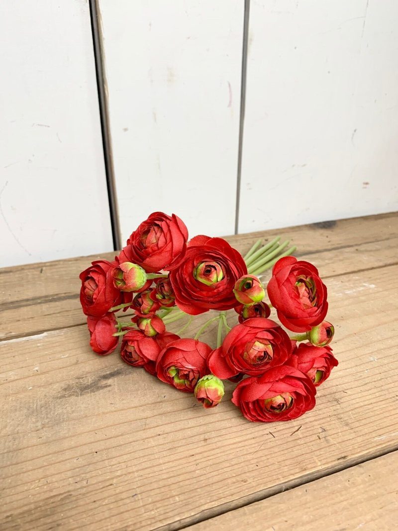 Greenery | Red Ranunculus Bush Florals & Greenery Greenery