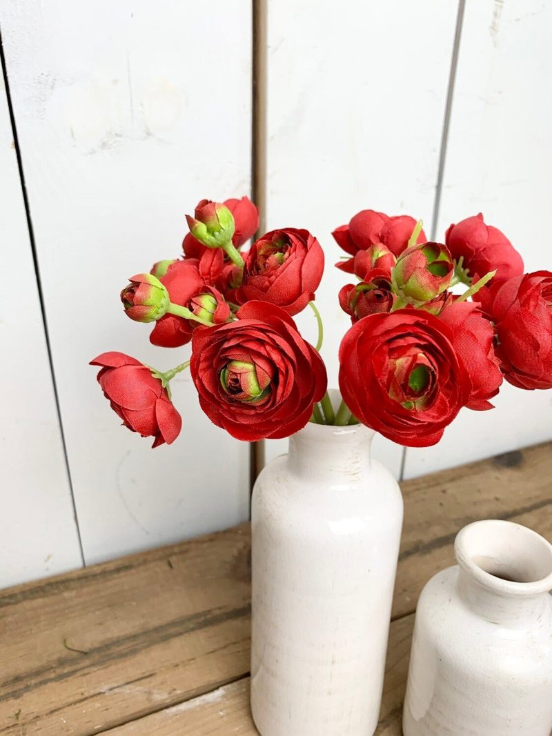 Greenery | Red Ranunculus Bush Florals & Greenery Greenery