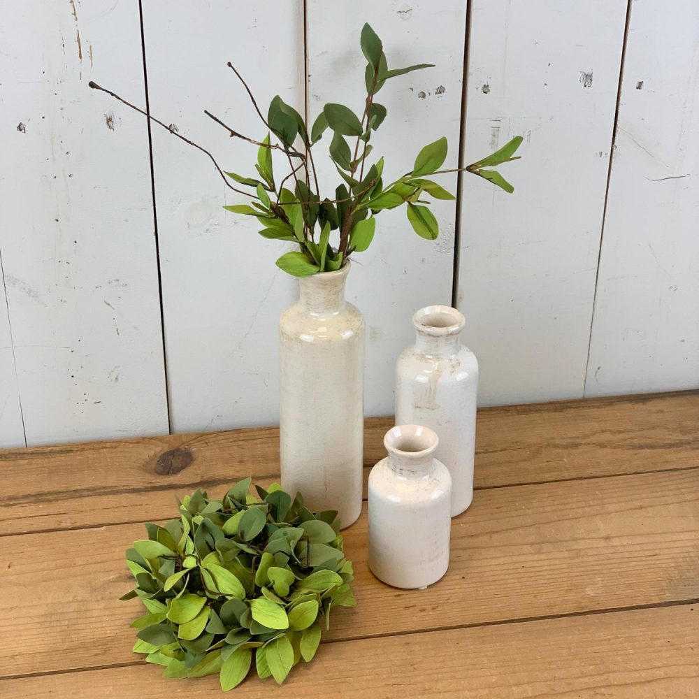 Greenery | Ruscus Floral Collection Floral Stems Floral Stems