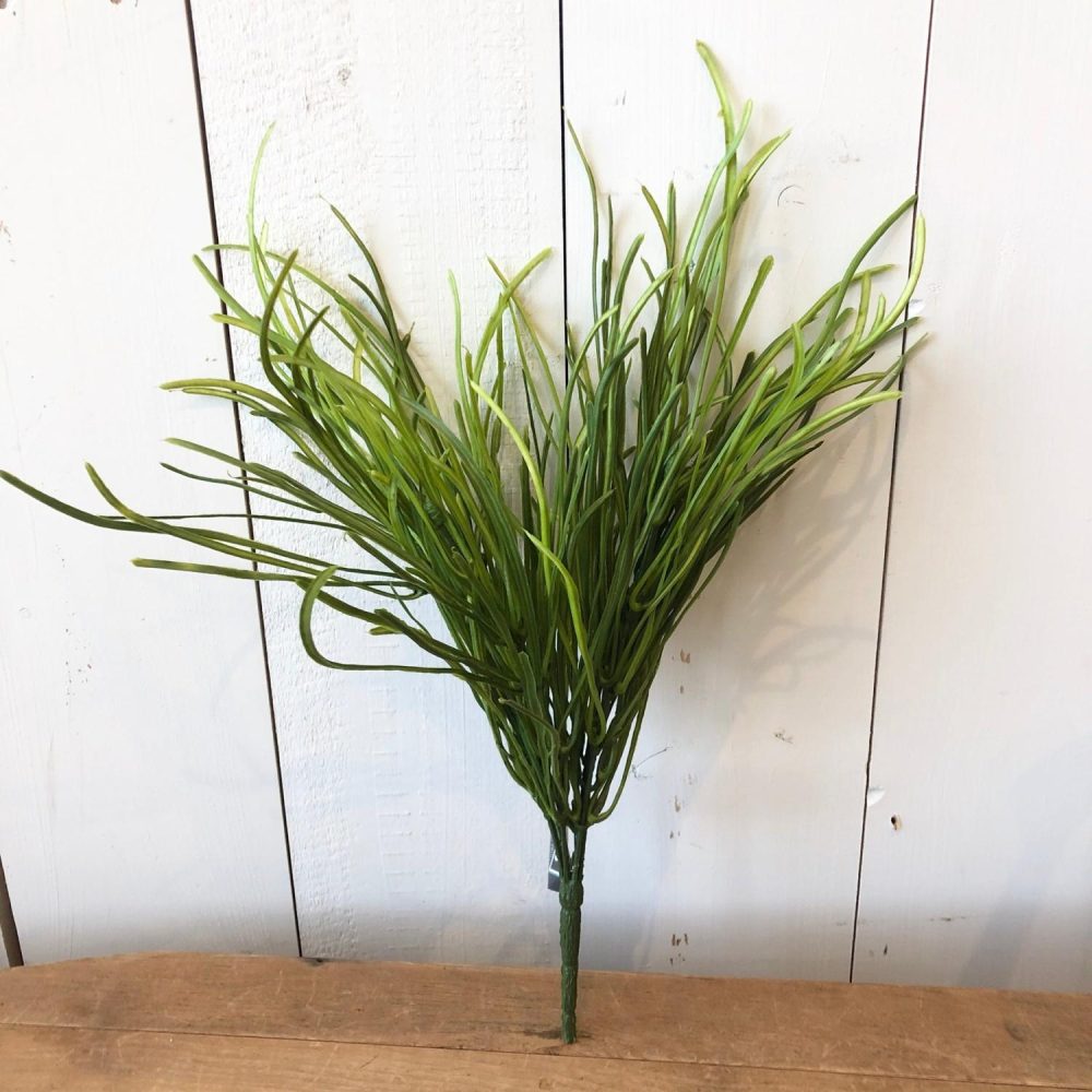 Greenery | Short Pearl Grass Florals & Greenery Greenery