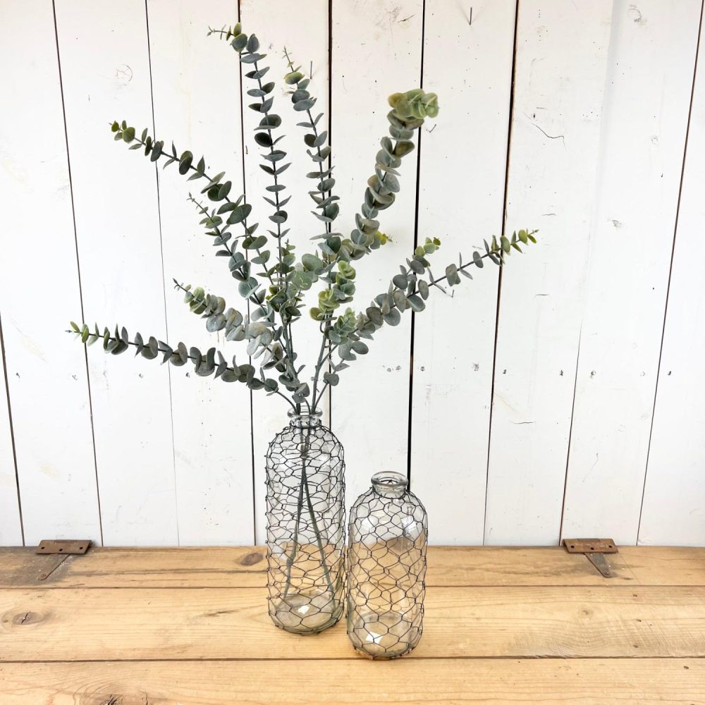 Greenery | Tall Eucalyptus Stem Floral Stems Floral Stems