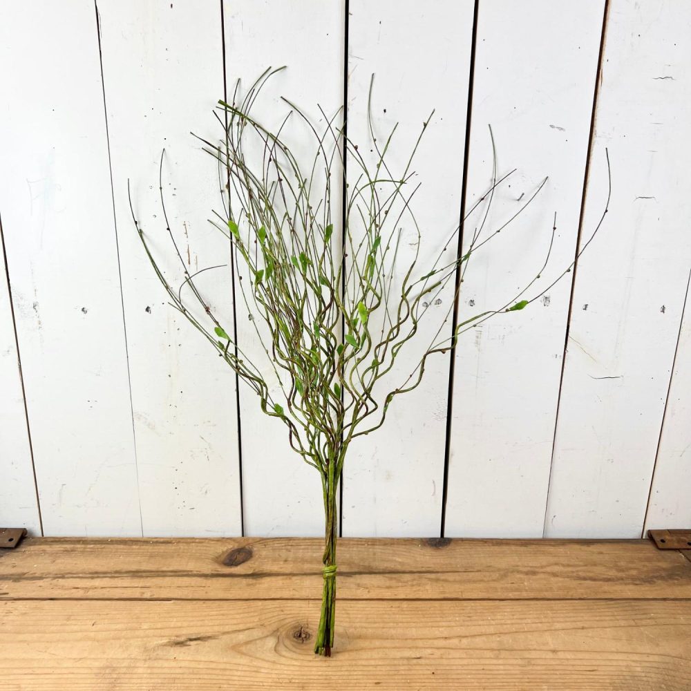 Greenery | Twig Bundle Florals & Greenery Greenery