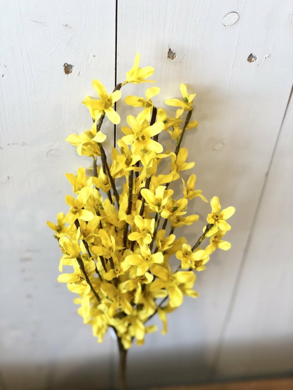 Greenery | Yellow Forsythia Bush Floral Stems Floral Stems