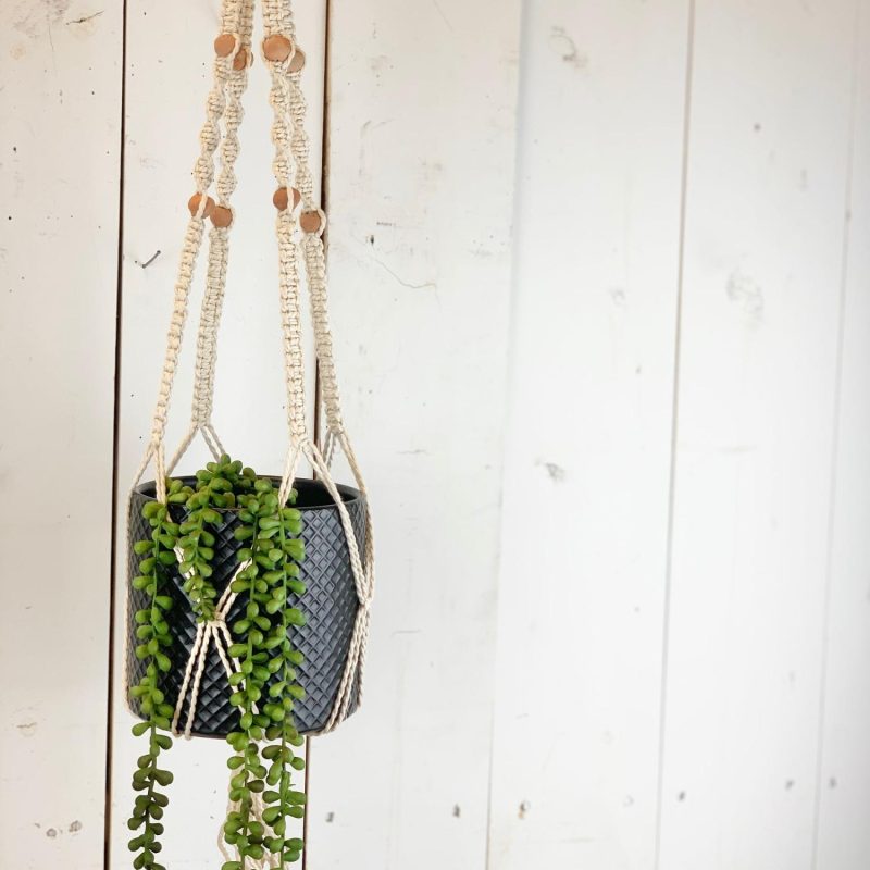 Macrame | Ivory Plant Hanger with Terracotta Beads Home Decor Macrame