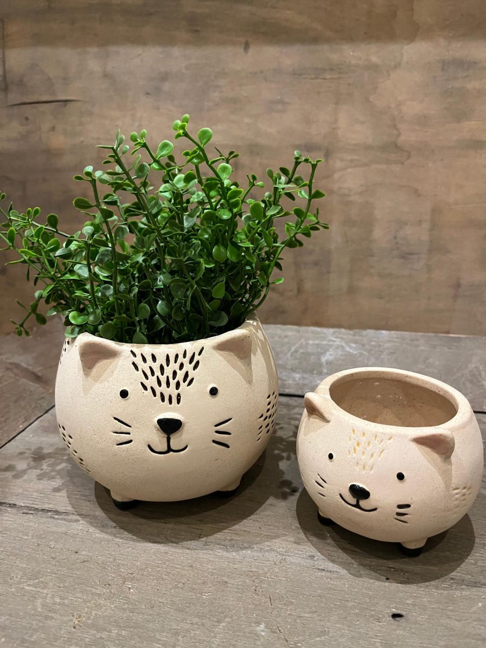 Pottery | Kitschy Cat Planter Home Decor Pottery