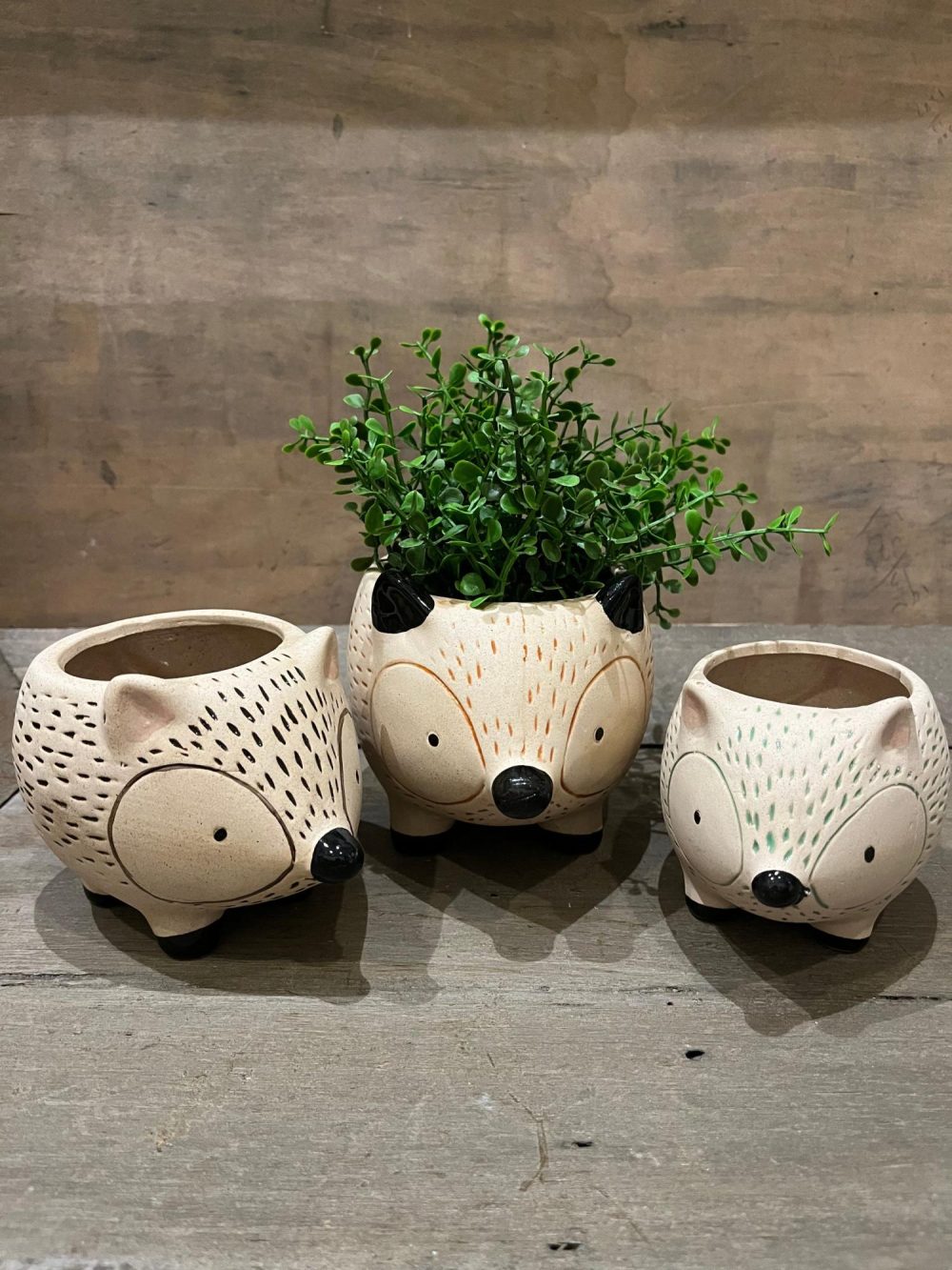 Pottery | Kitschy Hedgehog Planter Home Decor Pottery