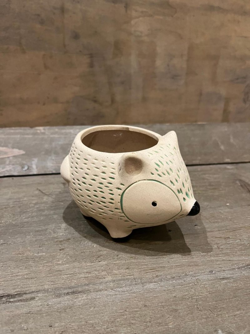 Pottery | Kitschy Hedgehog Planter Home Decor Pottery