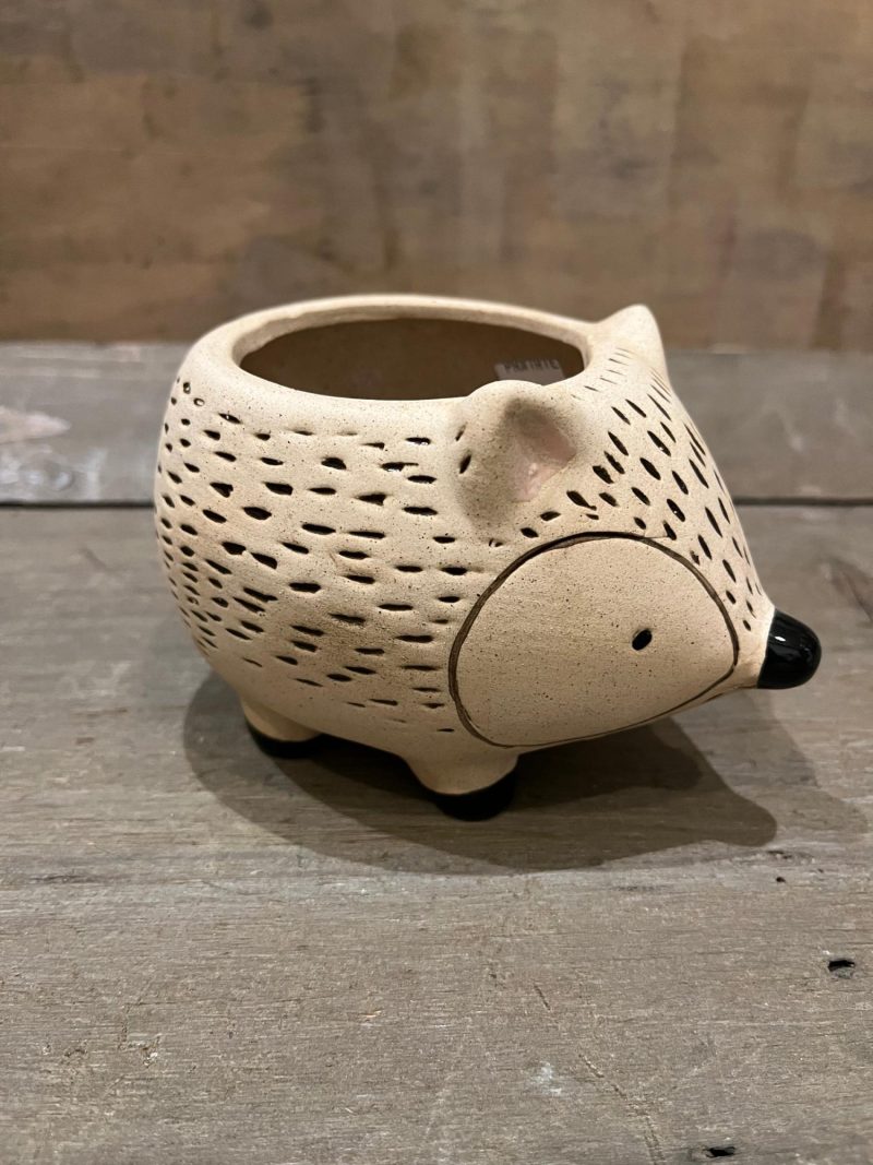 Pottery | Kitschy Hedgehog Planter Home Decor Pottery