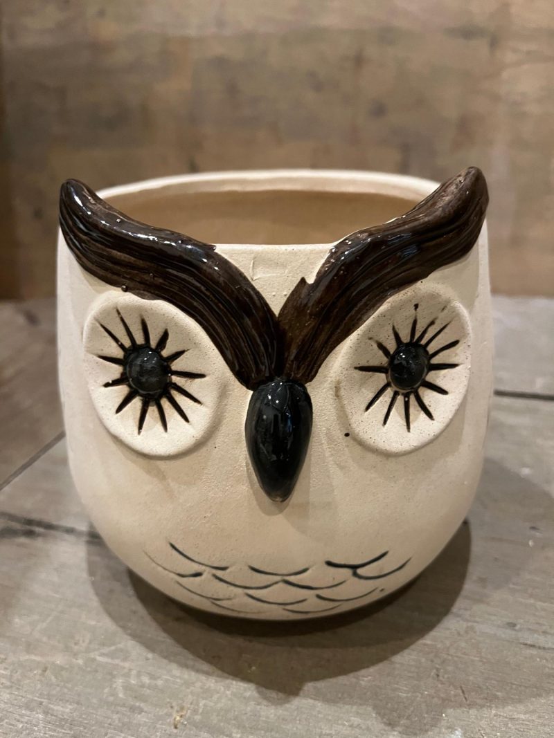 Pottery | Kitschy Owl Planter Home Decor Pottery