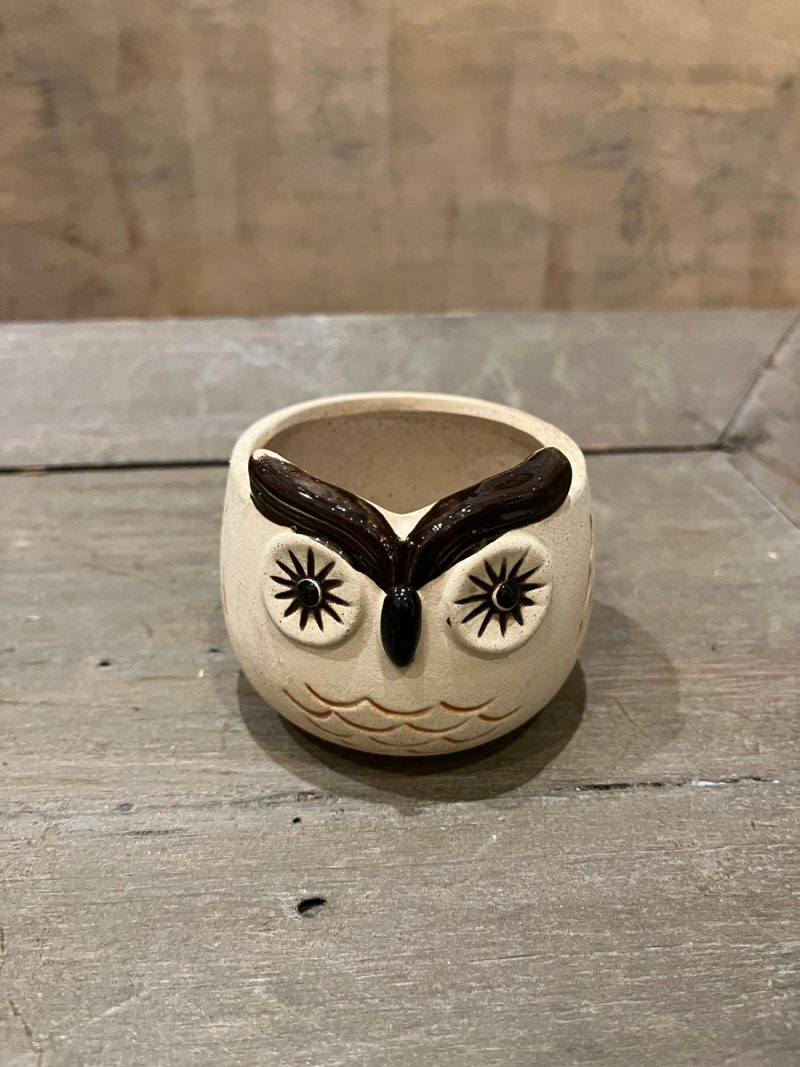 Pottery | Kitschy Owl Planter Home Decor Pottery