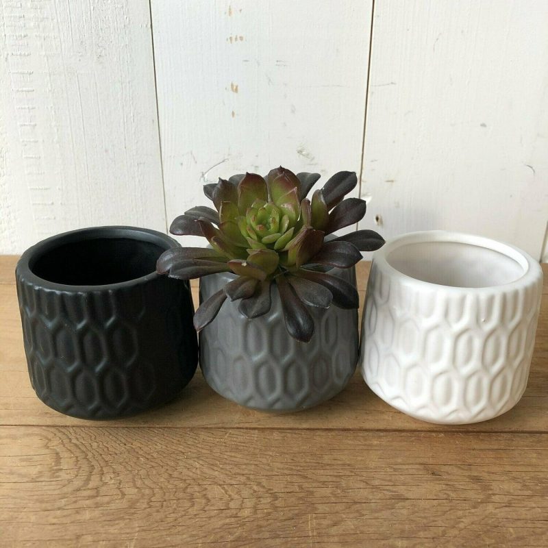 Pottery | Mini Pot Set of 3 Home Decor Pottery