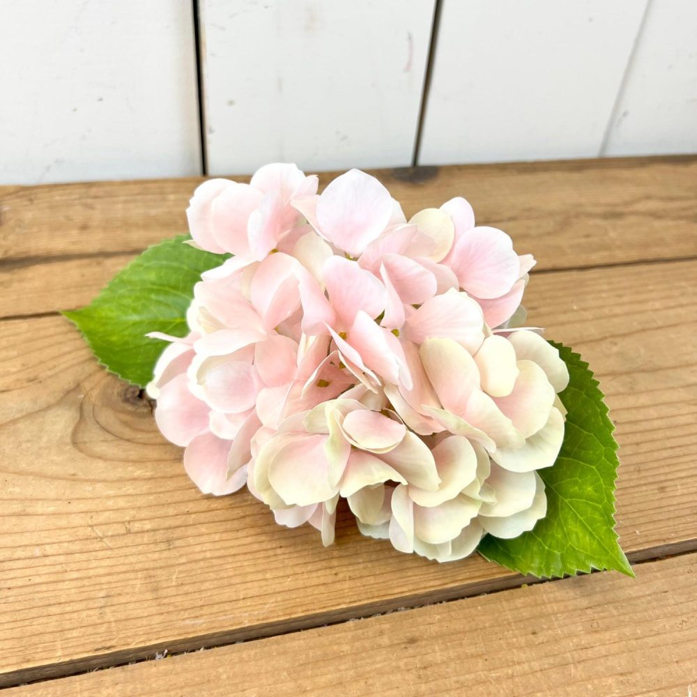 Seasonal Florals | Light Pink Hydrangea Stem Florals & Greenery Seasonal Florals