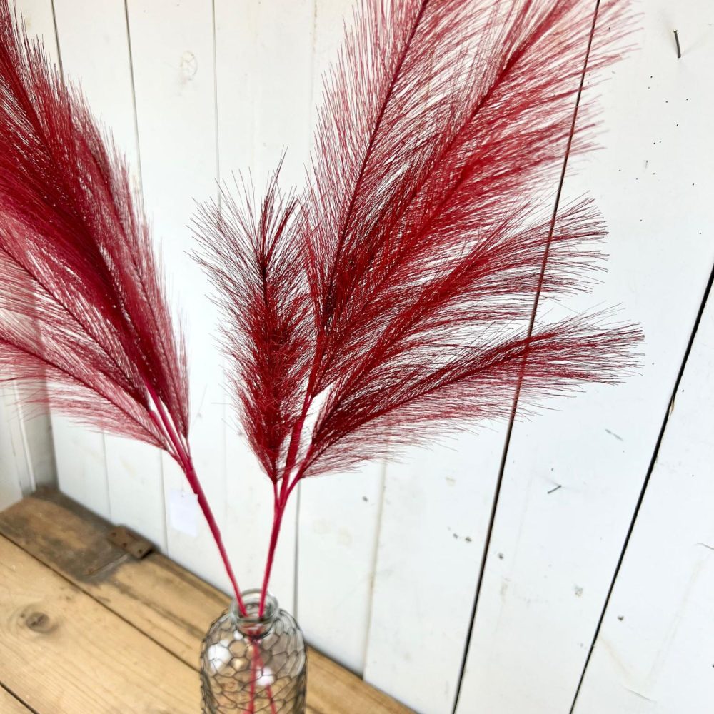 Seasonal Florals | Red Pampas Stem Floral Stems Floral Stems