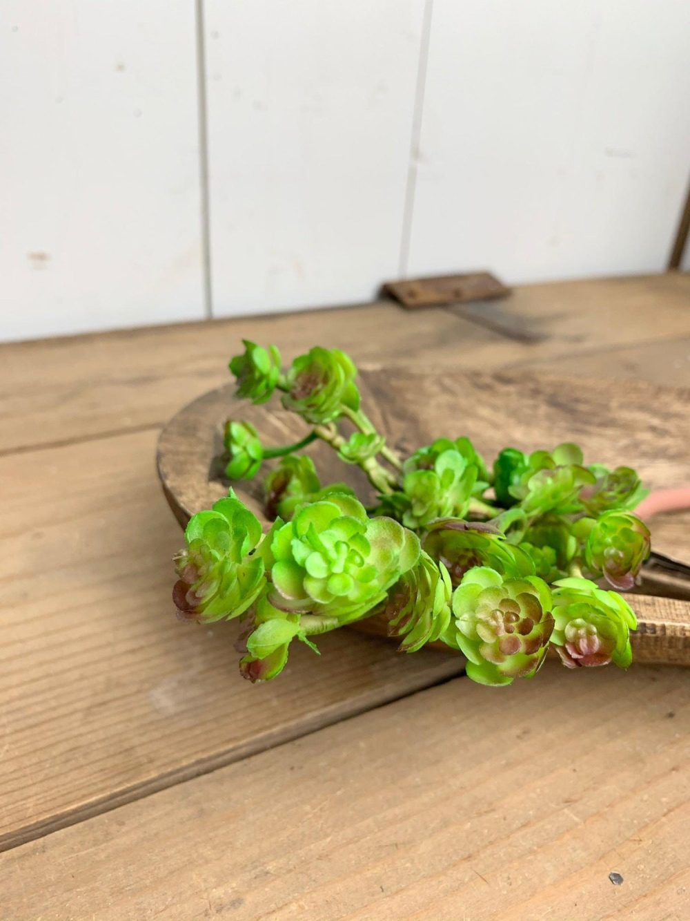 Succulents | Green Rose Succulent Stem Florals & Greenery Greenery