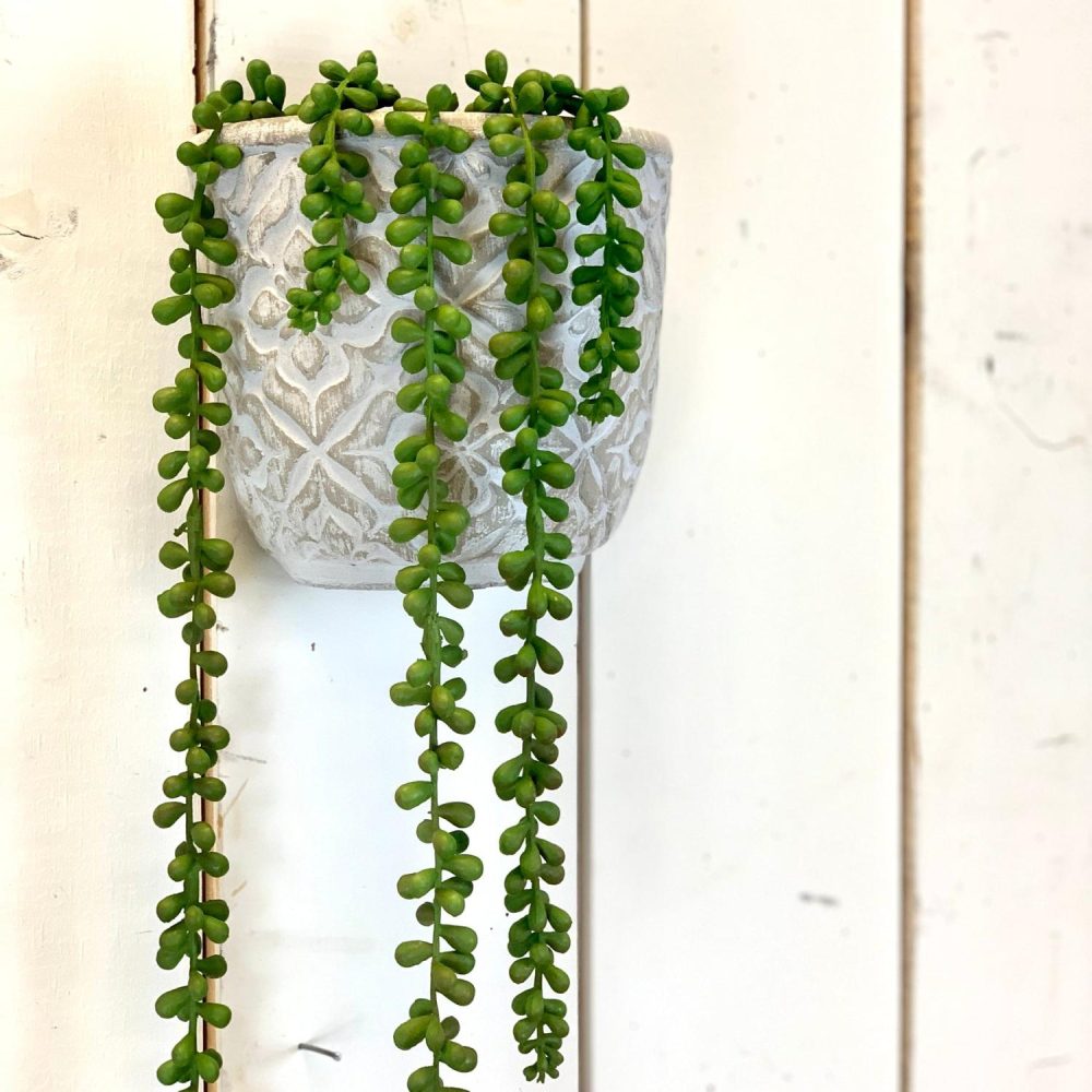 Succulents | Long Hanging Succulent Florals & Greenery Succulents