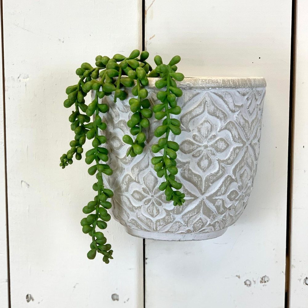 Succulents | Small Hanging Succulent Florals & Greenery Succulents