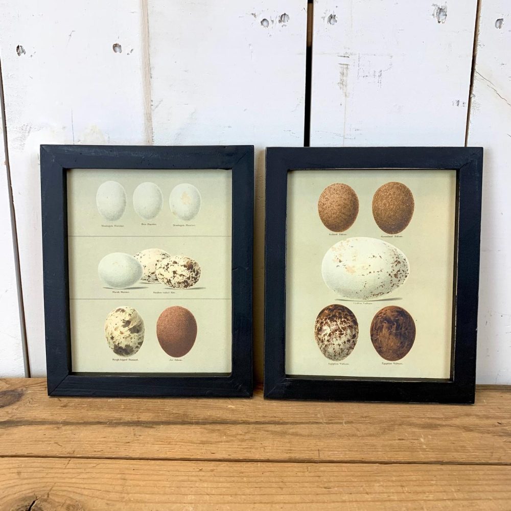 Wall Art | Black Frame Egg Wooden Wall Art, 2 Styles Wall Art Wall Art