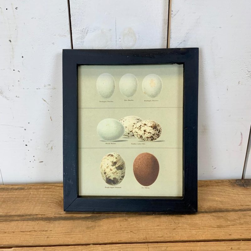 Wall Art | Black Frame Egg Wooden Wall Art, 2 Styles Wall Art Wall Art