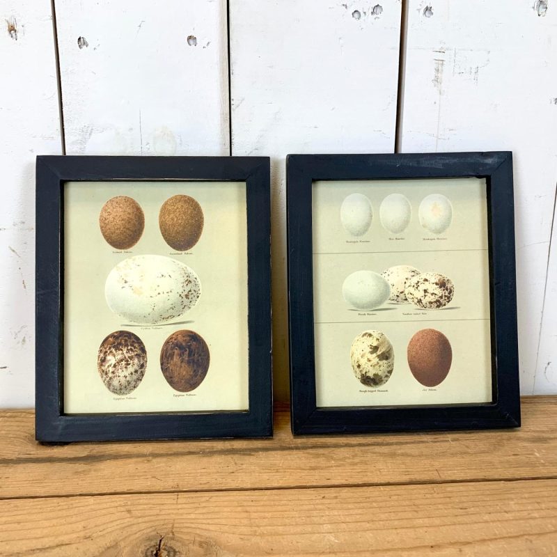 Wall Art | Black Frame Egg Wooden Wall Art, 2 Styles Wall Art Wall Art